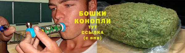 крисы Каменка