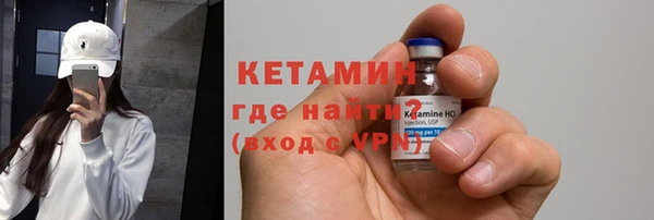 стаф Каменногорск