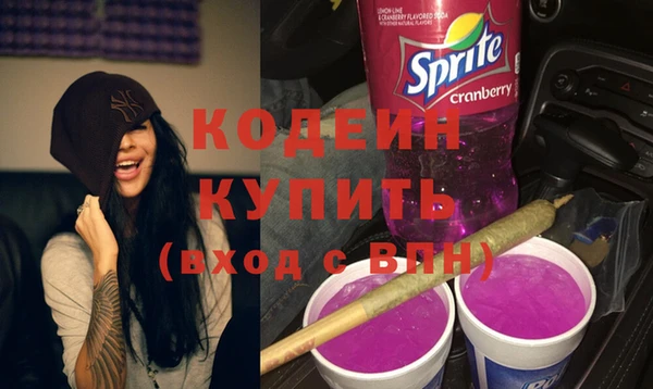 мдпв Инта