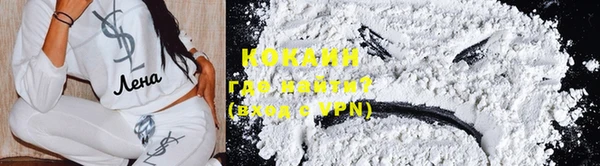 стаф Каменногорск